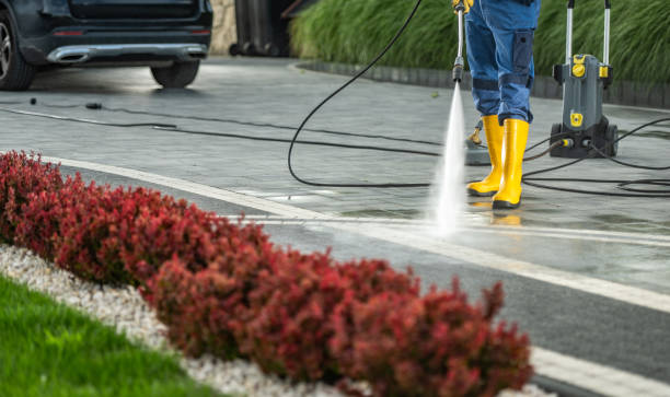 Best Fleet Vehicle Washing  in Sebewaing, MI